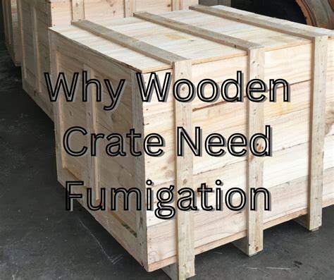 wooden container fumigation